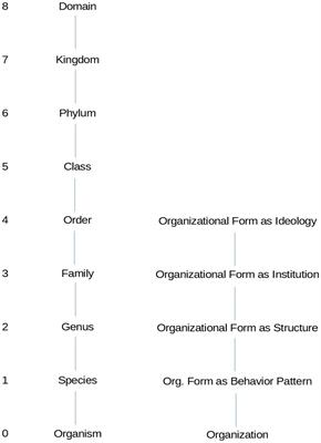 Hierarchy and diffusion of organizational forms